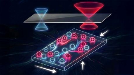 磁性トポロジカル結晶絶縁体における表面状態の輸送の観測