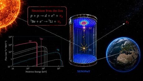 XENONnT実験での低エネルギー太陽ニュートリノによる電子散乱事象の初観測