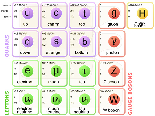 素粒子標準理論に登場する17種の素粒子