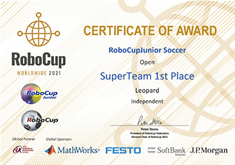 Certificate for Super Team victory