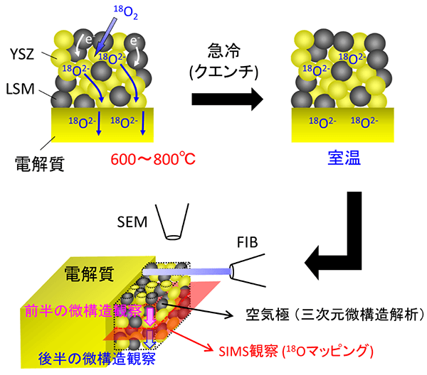 図1 SOFC空気極の反応場と三次元構造の同時観察手法