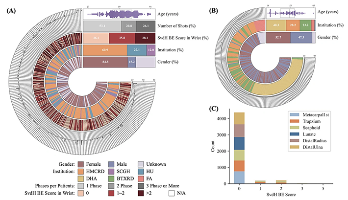 図1. データベースにおけるデータ分布と統計情報