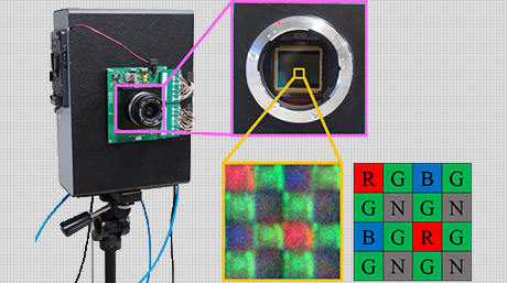カラー画像と近赤外線画像を同時に撮影可能なイメージングシステムを開発