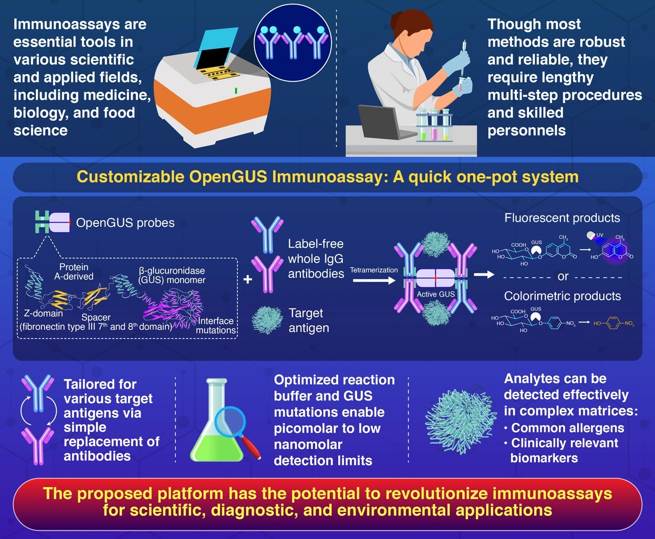 Customizable OpenGUS Immunoassay: A Homogeneous Detection System Using β-glucuronidase Switch and Label-free Antibody