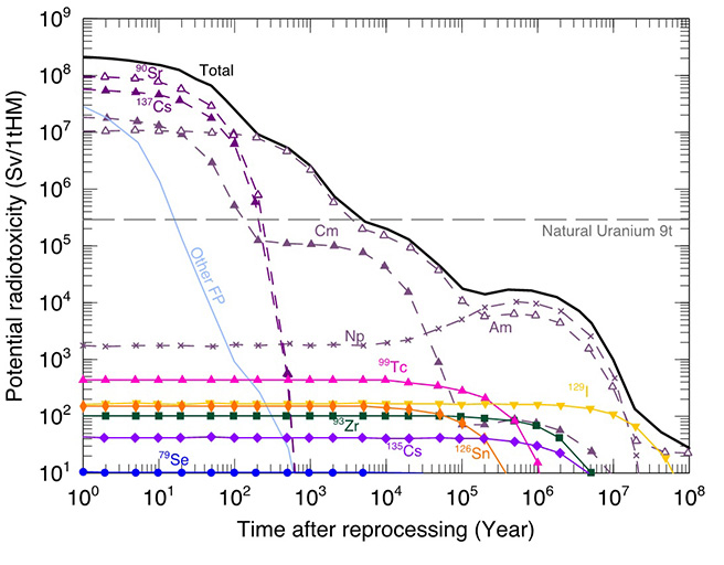 Results of the TcSpdSyn-ligand docking analysis.