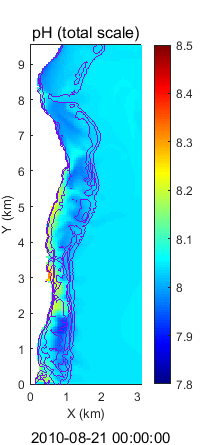 連成モデルによって計算されたサンゴ礁海域のpHの時空間変動