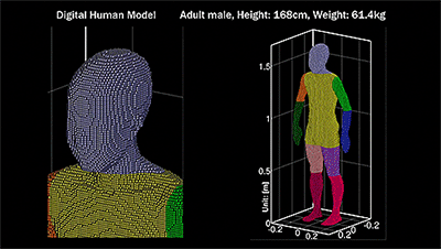 人体のシミュレーションモデル[body.gif]