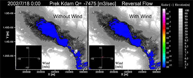 大腸菌輸送のトンレサップ湖全域シミュレーション(左側:風を無視, 右側:風を考慮)[TSL.gif]