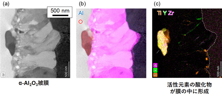 図1 ODS Fe15Cr7Al合金が形成したα-Al2O3被膜の断面組織、（a）走査透過電子顕微鏡像、（b）アルミニウムと酸素のエネルギー分散型X線（EDX）元素マッピング像、（c）チタン、イットリウム、ジルコニウムのEDX分析による元素マッピング像 