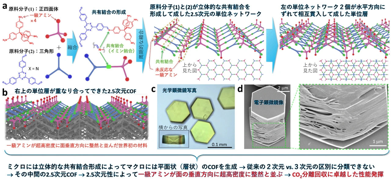 図2. （a）本成果で使用した二種類の原料分子。正四面体形状（各頂点に一級アミンを持つ）の原料分子（1）と三角形（各頂点にアルデヒド基を持つ）の原料分子（2）とが縮合により共有結合でつながる。共有結合は一級アミンとアルデヒドの縮合で形成される（黄緑色、イミン結合）。原料分子（1）あたり1個の一級アミンを残し、立体的な共有結合形成により平面的に伸展して単位層が形成される。（b）単位層が積層して2.5次元COFが形成される。（c）2.5次元COFの単結晶の光学顕微鏡写真。（d）機械的な力を加えて変形させた後の単結晶の走査型電子顕微鏡像。