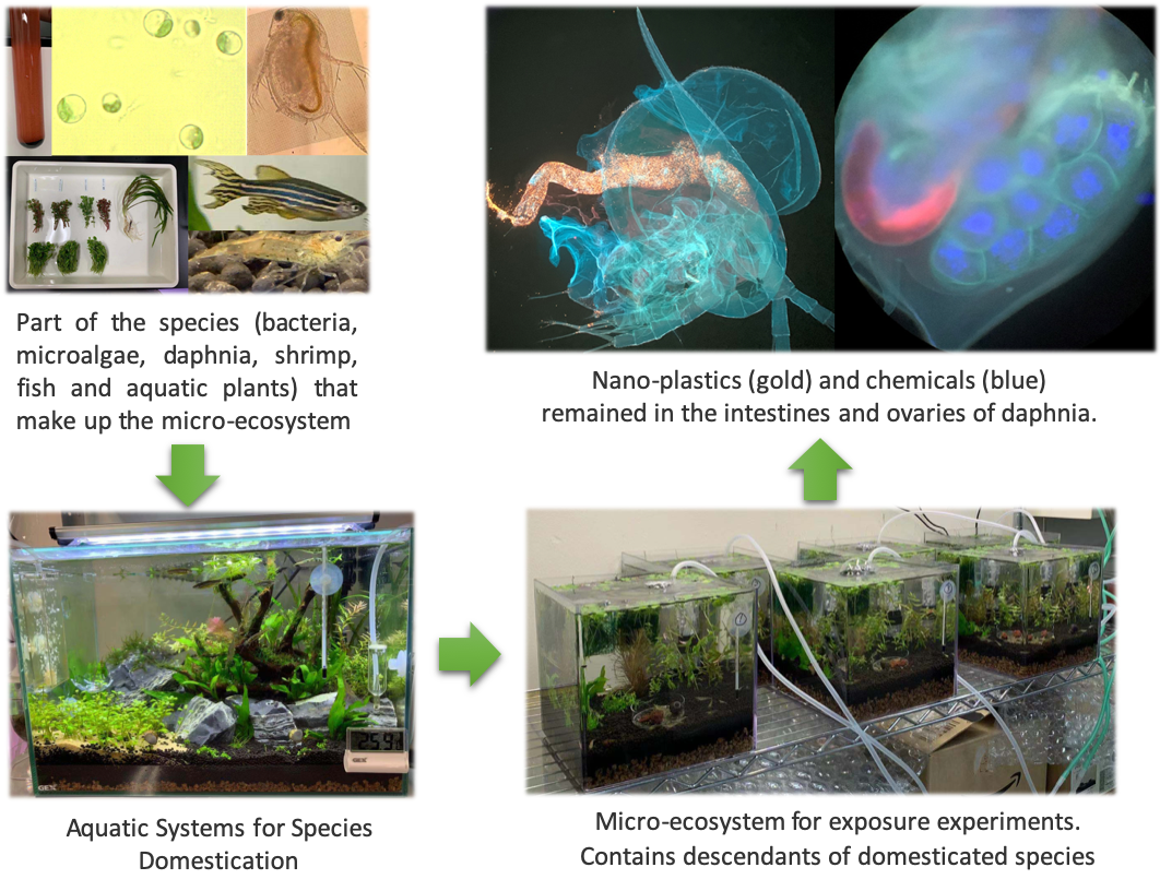 Waste to energy/Biochem group research topics